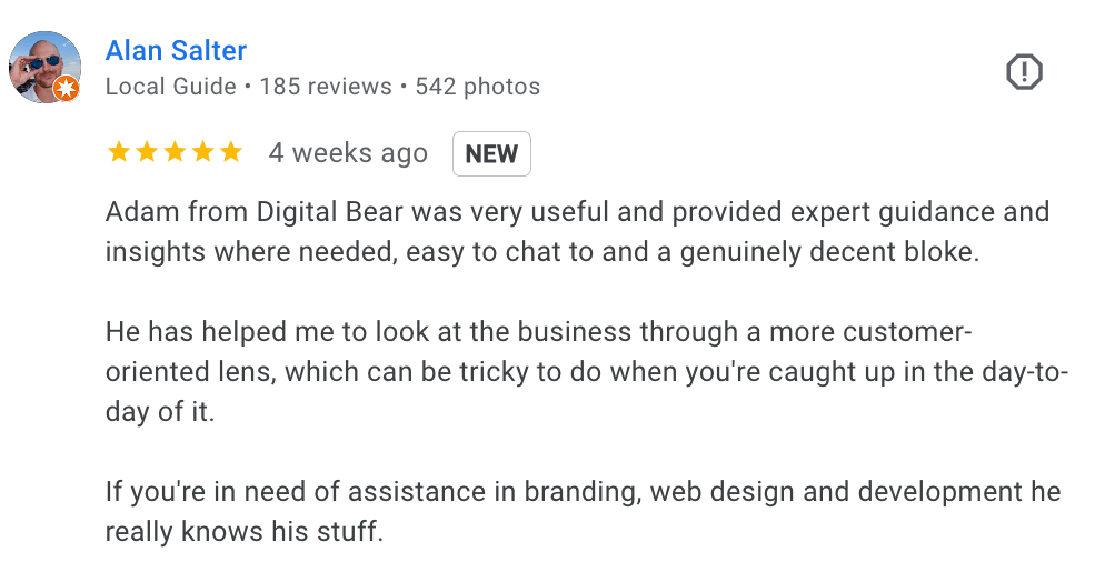 Salan Salter Google review of the free website audit